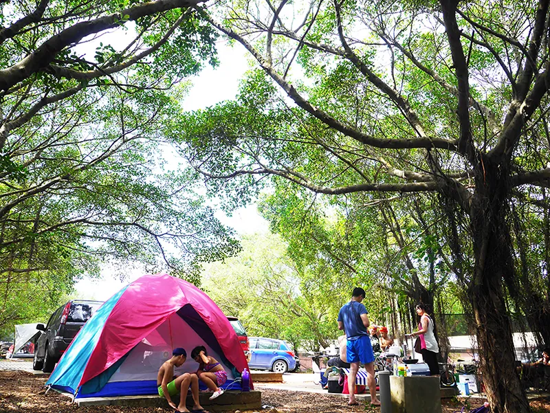 On-site scenery and campervan overnight setting at Hsinchu Xinfeng｜Little Ding-Dong Science Theme Park Campground